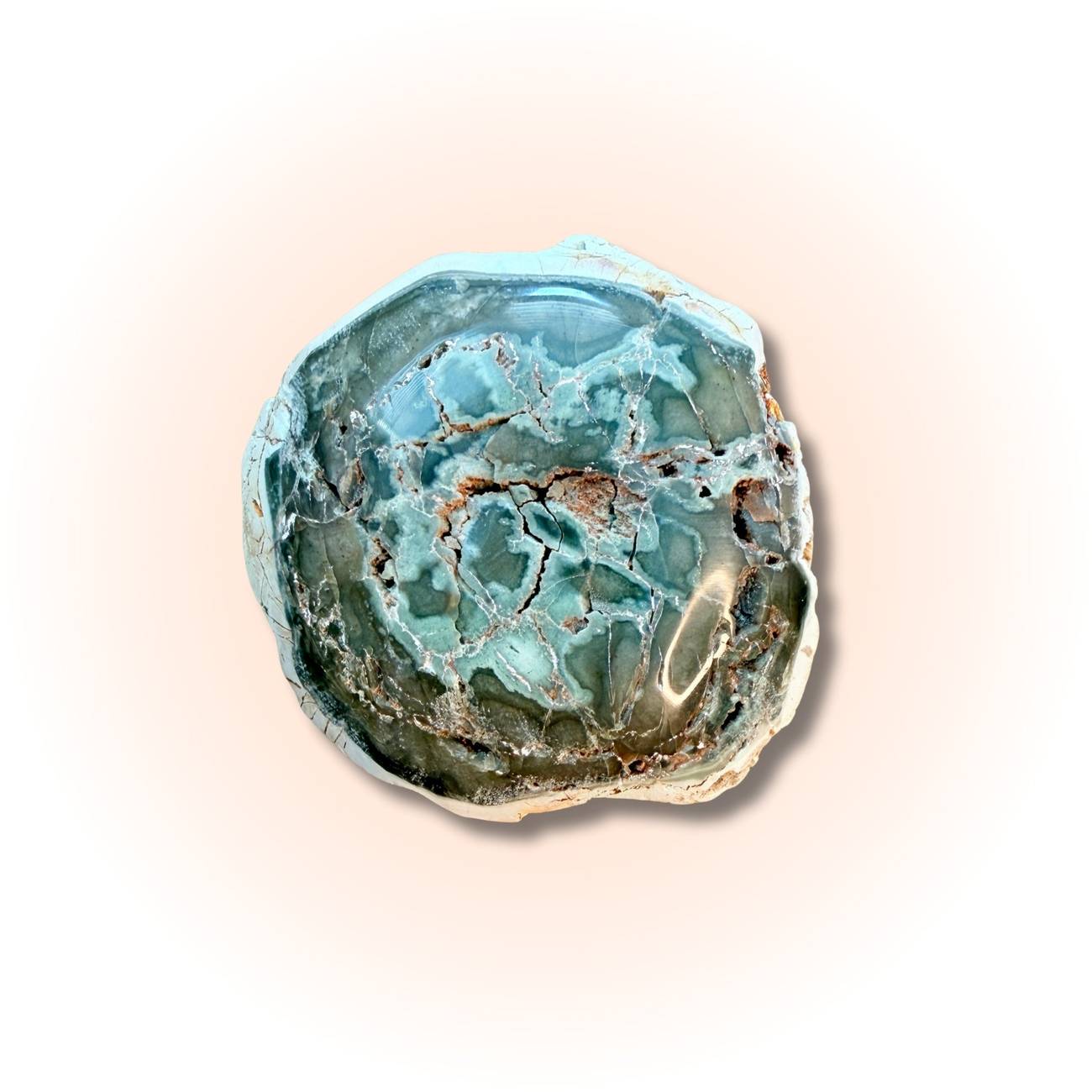 Polished petrified wood slice in oceanic blue-green tones with intricate fossil patterns, ideal for grounding and ancient wisdom in fossil collections. Slice A