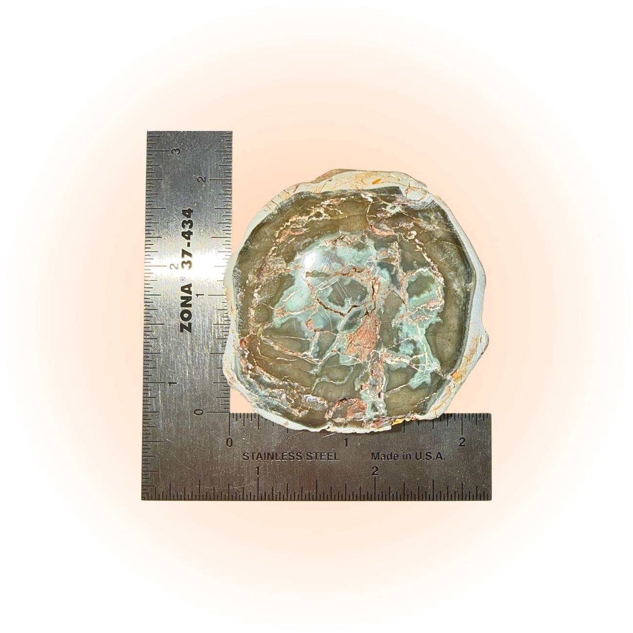 Polished Petrified Wood Slice - Ancient Wisdom | 98g-105g fossil with oceanic blue-green hues from Madagascar, shown with ruler for scale. Slice A