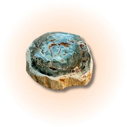 Polished petrified wood slice in oceanic blue-green tones, showcasing fossilized textures and grounding energy, 98g-105g from Madagascar. Slice A