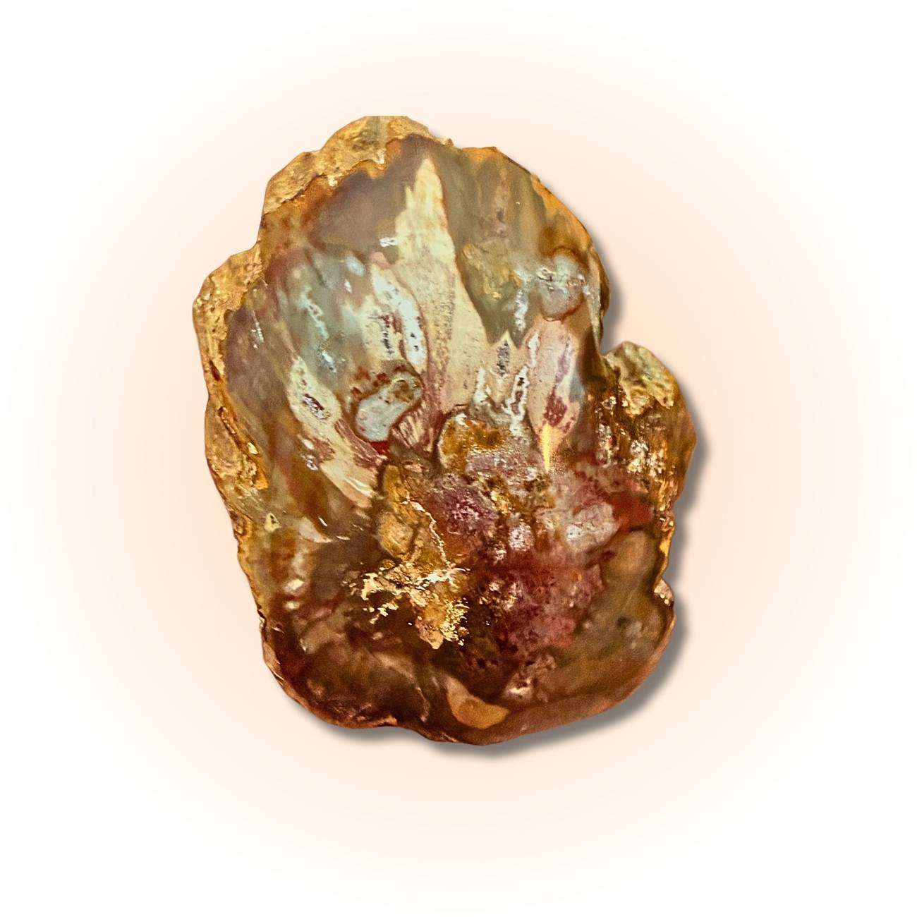 Polished Petrified Wood Slice - Ancient Wisdom | 98g-105g fossil from Madagascar featuring rich red-brown hues and intricate natural patterns. Slice B