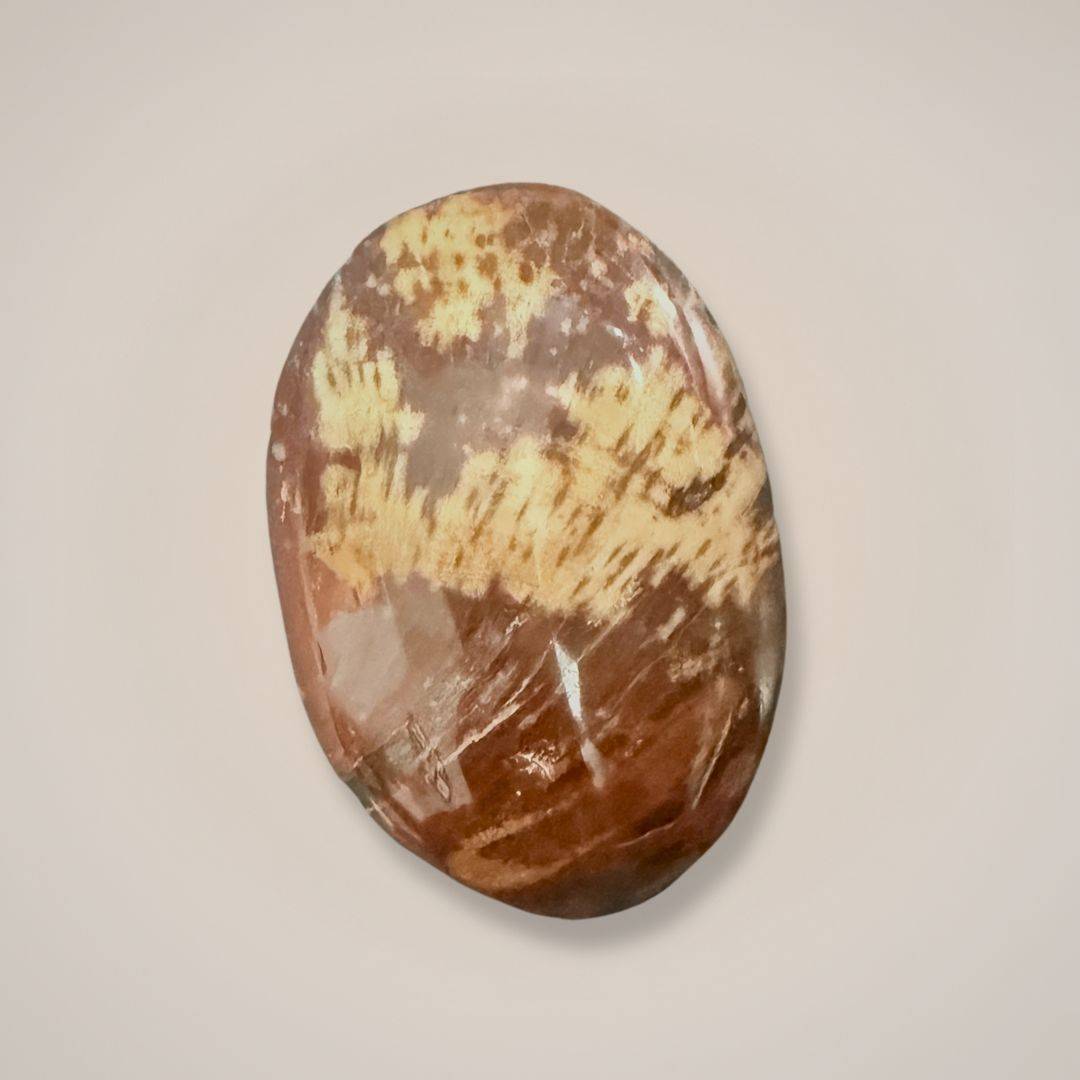 Polished petrified wood palm stone, medium size, grounding protection stone