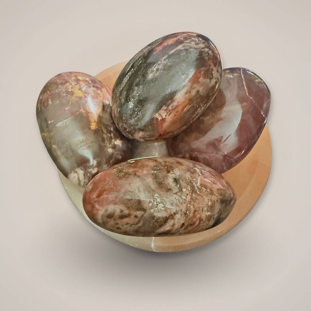 Polished petrified wood palm stone, medium size, grounding protection stone