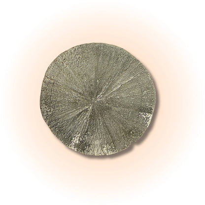 Rare Pyrite Sun Disc with radiant metallic luster and radial symmetry, ideal for boosting confidence and prosperity in mineral collections.