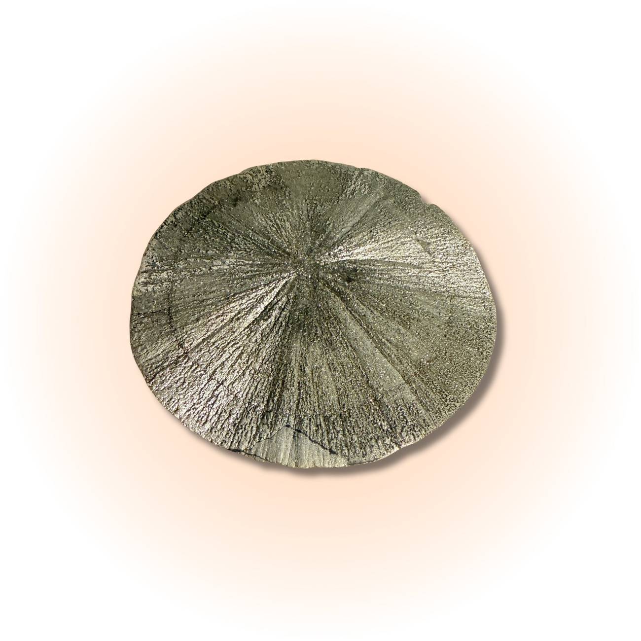 Rare Pyrite Sun Disc with radiant metallic luster and radial symmetry, ideal for boosting confidence and prosperity in mineral collections.