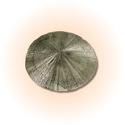 Rare Pyrite Sun Disc with radiant metallic luster and radial symmetry, ideal for boosting confidence and prosperity in mineral collections.