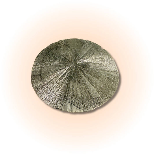 Rare Pyrite Sun Disc with radiant metallic luster and radial symmetry, ideal for boosting confidence and prosperity in mineral collections.
