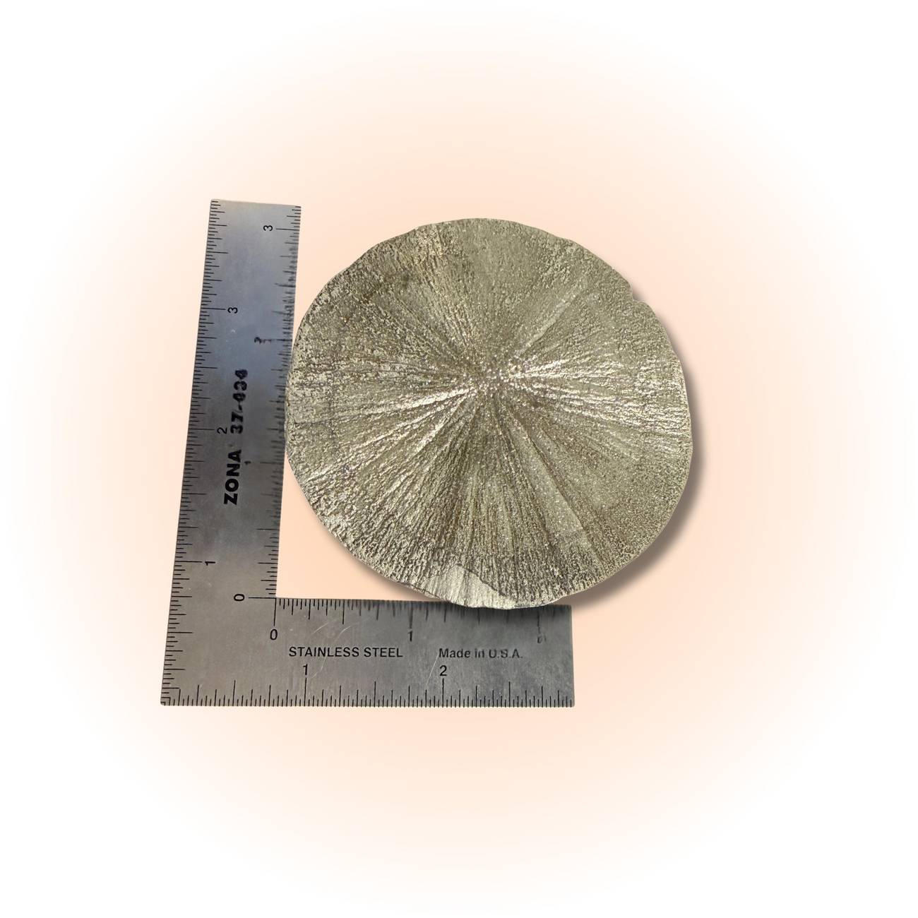Rare Pyrite Sun Disc from Illinois with metallic luster and radial symmetry, shown next to a ruler for scale. Ideal for boosting confidence and prosperity.