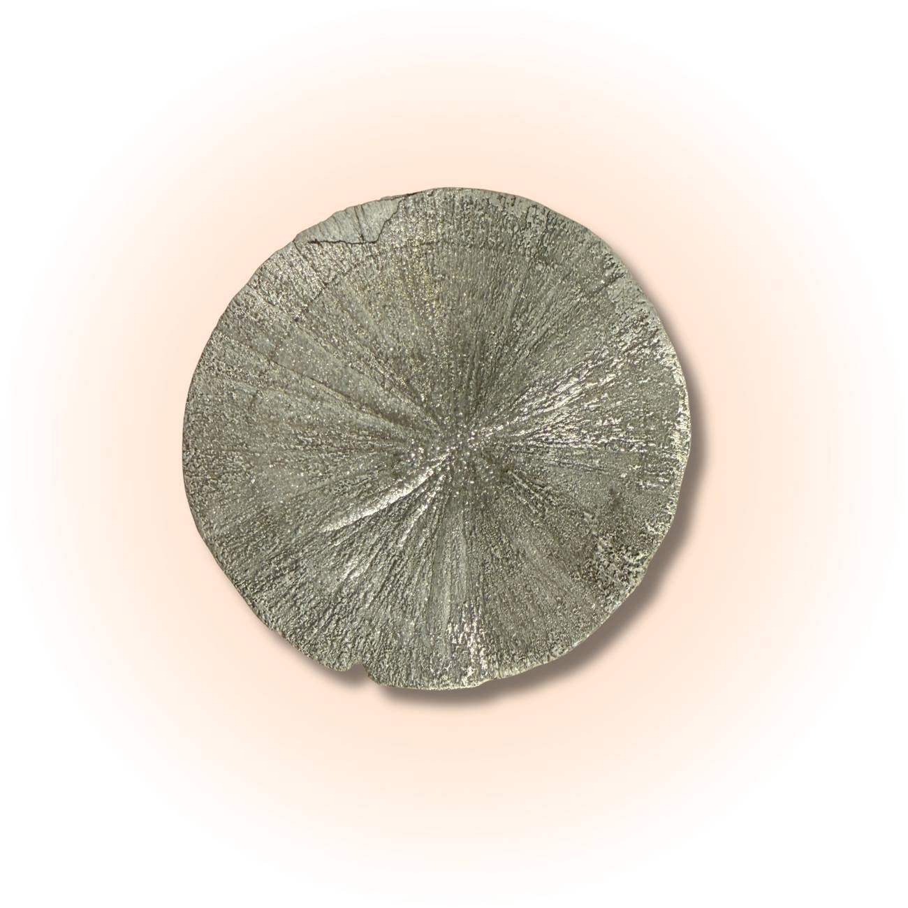 Rare Pyrite Sun Disc with metallic luster and radial symmetry, ideal for boosting confidence and prosperity in mineral collectibles.