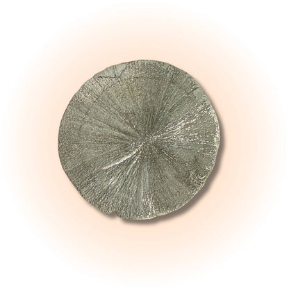 Rare Pyrite Sun Disc with metallic luster and radial symmetry, ideal for boosting confidence and prosperity in mineral collectibles.