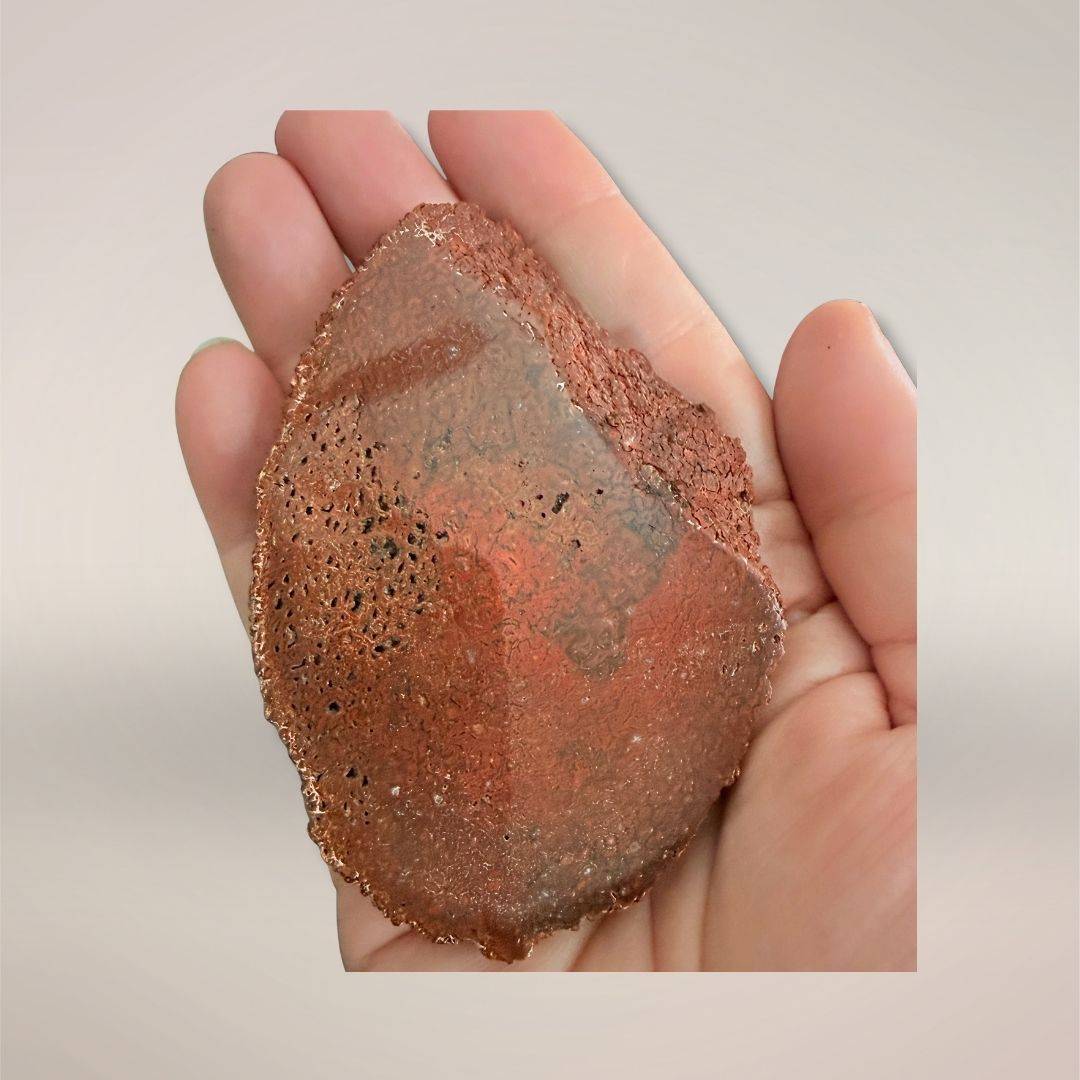 Red Dinosaur Gembone Slab fossil specimen in hand