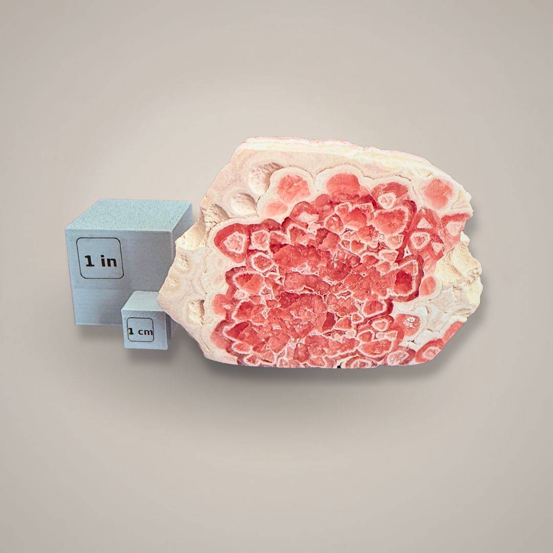 Botryoidal Rhodochrosite stalactite slice with pink mineral formations