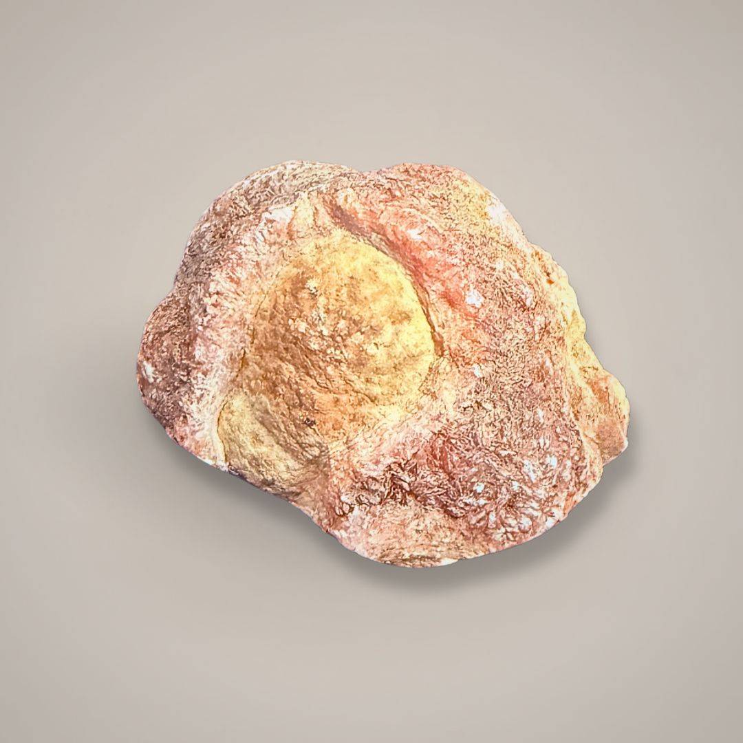 Rhodochrosite mineral specimen with size reference, showing pink banding and druzy center