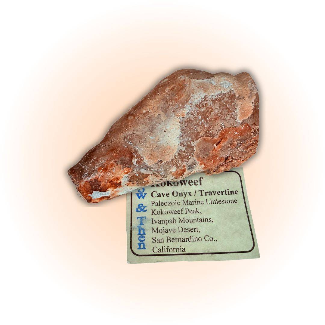 Unique Kokoweef Cave Stalactite - 162g Mohave Desert Specimen featuring reddish-brown onyx with natural textures, ideal for mineral collectors with original specimen card.