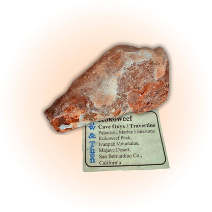 Unique Kokoweef Cave Stalactite - 162g Mohave Desert Specimen featuring reddish-brown onyx with natural textures, ideal for mineral collectors with original specimen card.