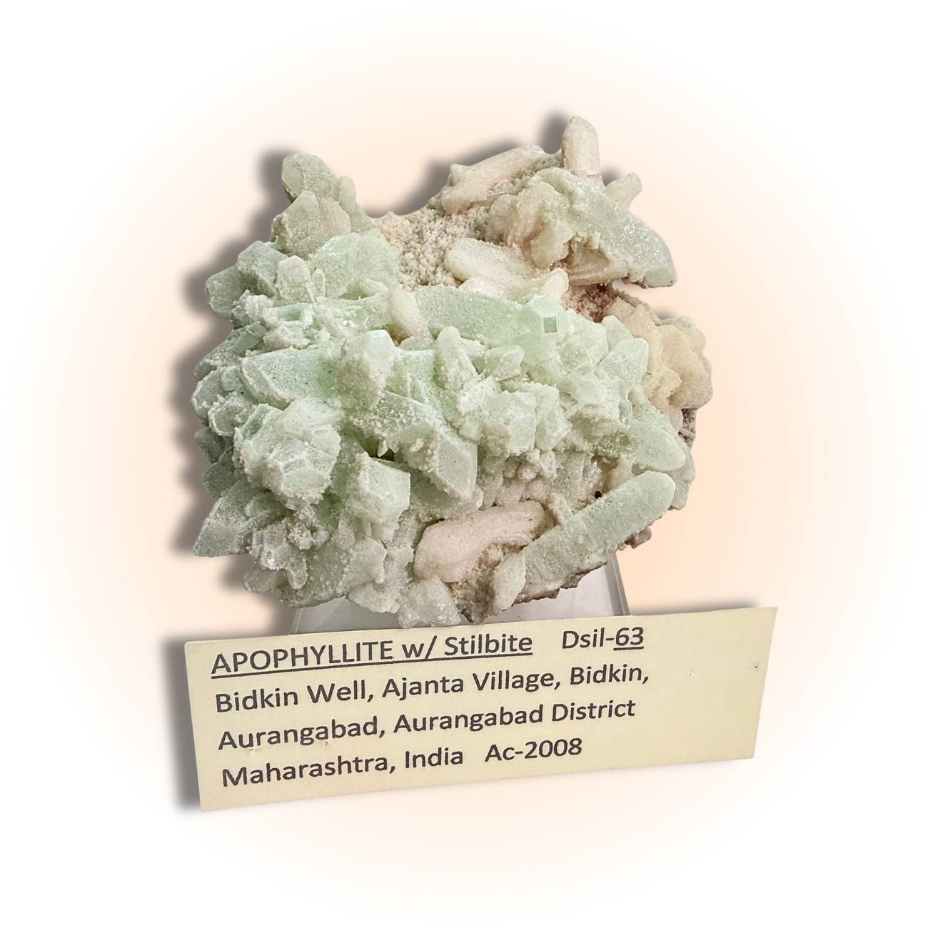 Labeled Green Apophyllite with Stilbite specimen from Bidkin Well, India, showcasing its origin and collector-grade quality for mineral enthusiasts.