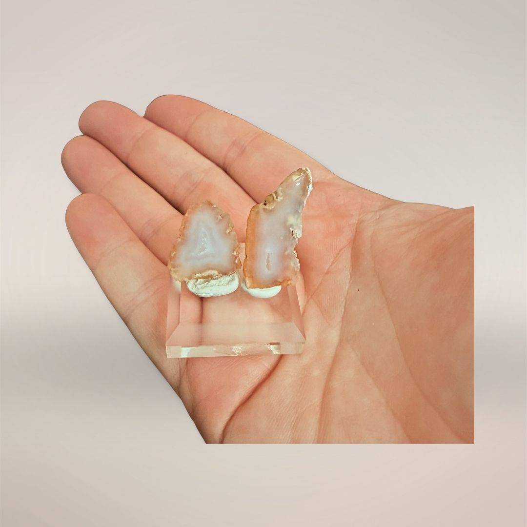 Colorless Tabasco agate micro-geode pair on display stand