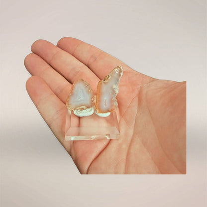 Colorless Tabasco agate micro-geode pair on display stand