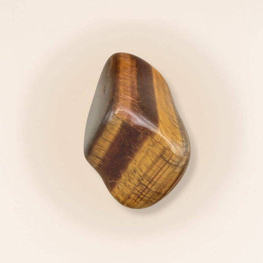 Single Tigers Eye Tumbled Stone from Brazil showcasing golden-brown bands, ideal for enhancing courage and focus in home decor or meditation.