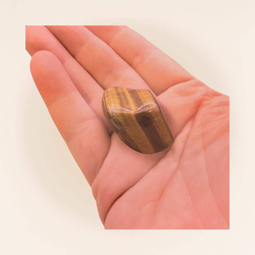 Hand holding a polished Tigers Eye Tumbled Stone from Brazil, highlighting its smooth texture and grounding energy for focus and courage.