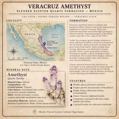 Mexico Veracruz Amethyst specimen info card with locality map, formation notes, mineral data, and scepter crystal illustration.