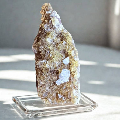 Collector-grade yellow and clear fluorite crystal from Ojuela Mine, Mexico, shown on a display stand with natural lighting.