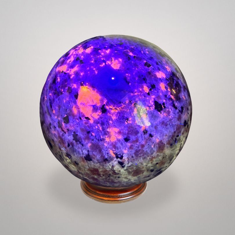 UV Sodalite 'Yooperlite' Sphere 464g glowing under UV light with vibrant purple and orange fluorescence, ideal for illumination rituals.