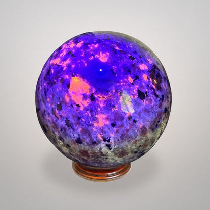UV Sodalite 'Yooperlite' Sphere 464g glowing under UV light with vibrant purple and orange fluorescence, ideal for illumination rituals.