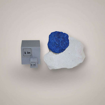 Scale view of single Azurite Sun specimen from Australia beside one-inch mineral scale cubes.