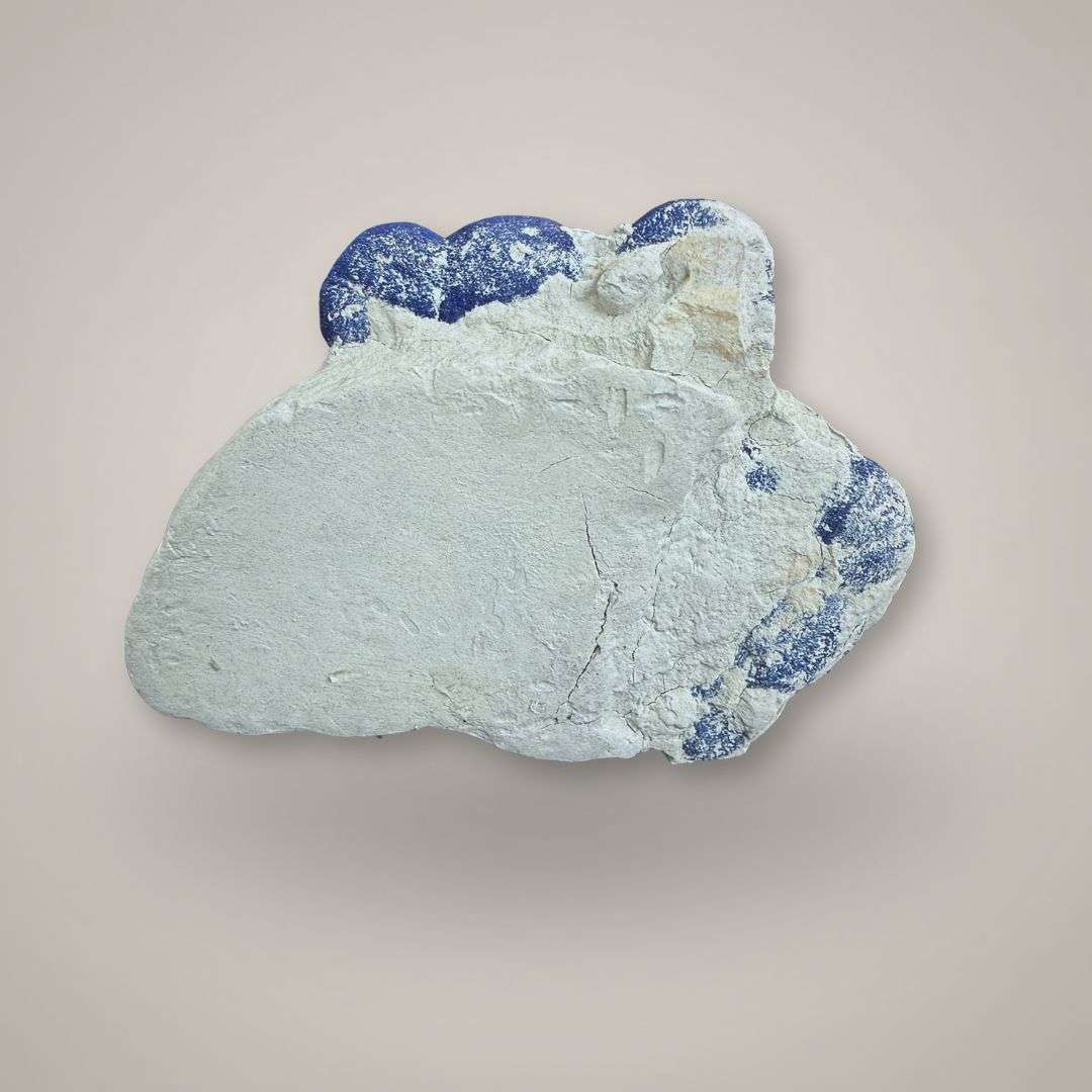 Back view of Azurite Sun cluster showing pale kaolinite matrix from Malbunka Copper Mine, Australia.
