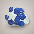 Rare Azurite Sun cluster from Malbunka Copper Mine, Australia, showing multiple deep blue radial azurite suns on pale kaolinite matrix.