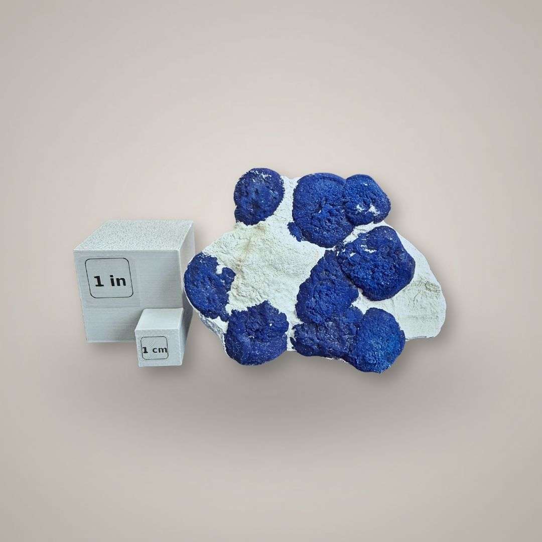 Scale view of ten-sun Azurite Sun cluster from Australia beside one-inch mineral scale cubes.