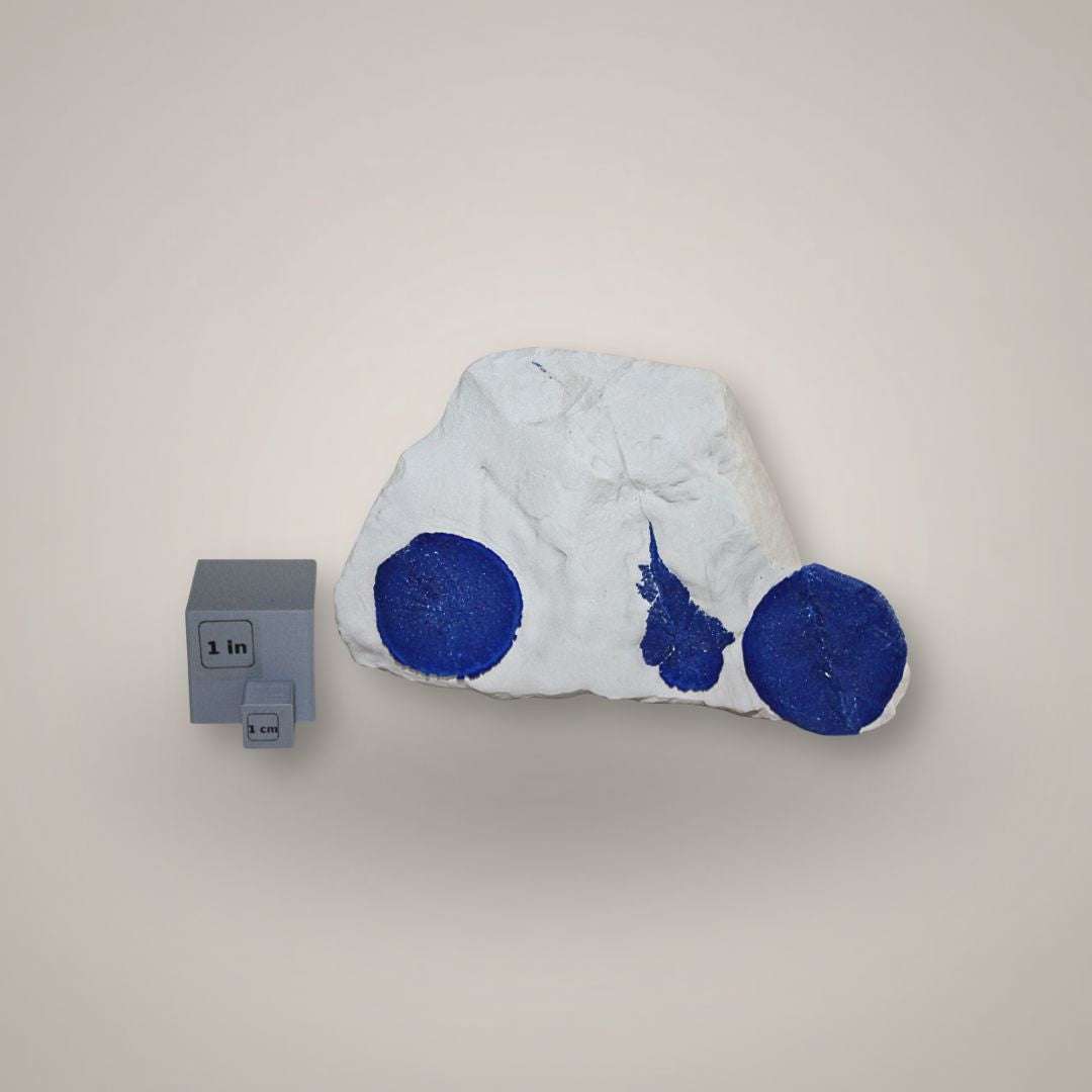Scale view of Azurite Sun specimen from Australia beside one-inch mineral scale cubes.