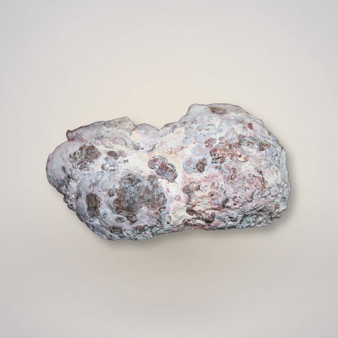 Natural rind side of Baker Agate thunderegg half from Deming, New Mexico showing exterior matrix texture.