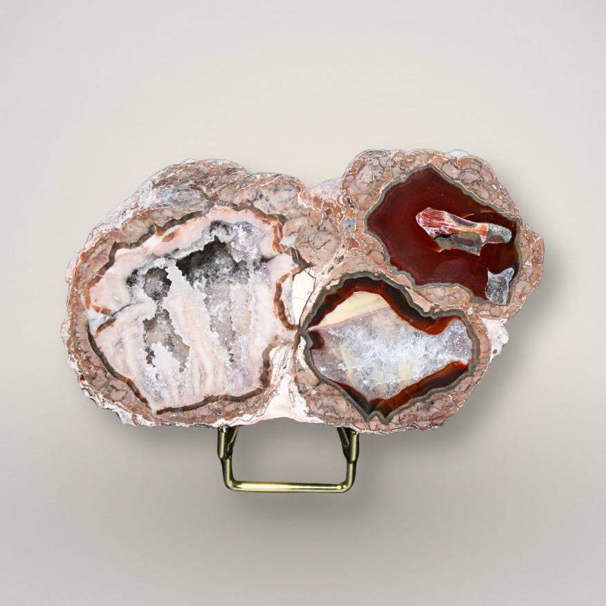 Baker Agate thunderegg half from Deming, New Mexico displayed upright, showing three agate chambers with druzy pockets and banding.