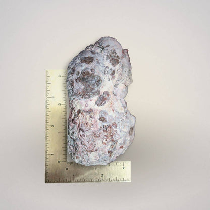Side profile of Baker Agate thunderegg half with ruler for scale, showing thickness and natural rind.