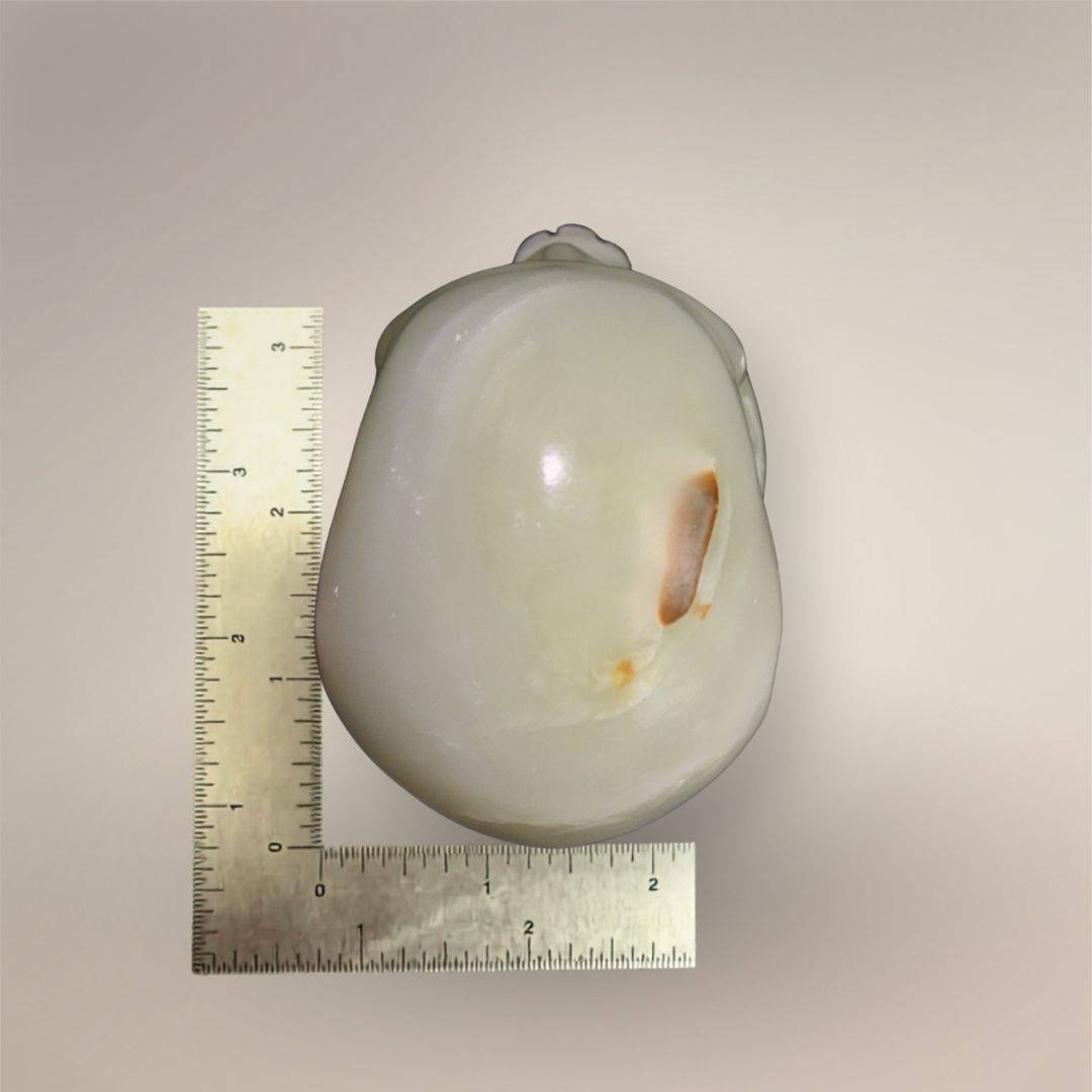 Rear view of 4-inch hand-carved banded calcite skull beside rulers showing scale and natural brown surface marking.