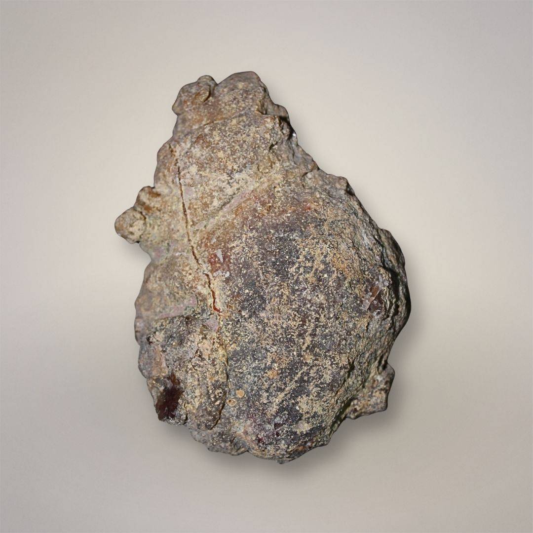 Back of Condor Agate specimen from Las Arenas, Argentina, showing natural outer rind, rough texture, gray-brown matrix, and preserved nodule surface.