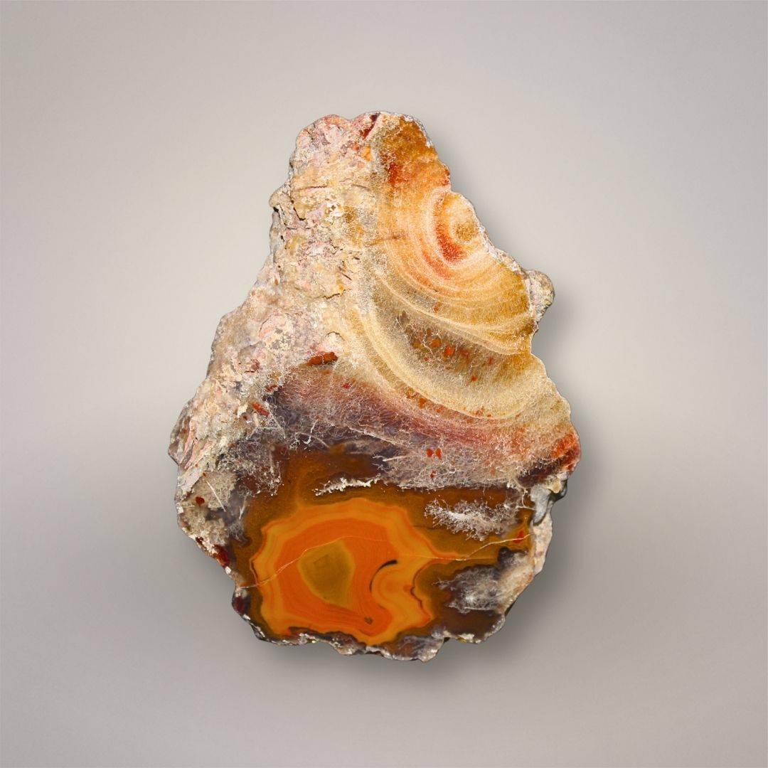 Front view of polished Condor Agate half from Las Arenas, Argentina, showing nested banding, red-orange agate pocket, and preserved natural rind.