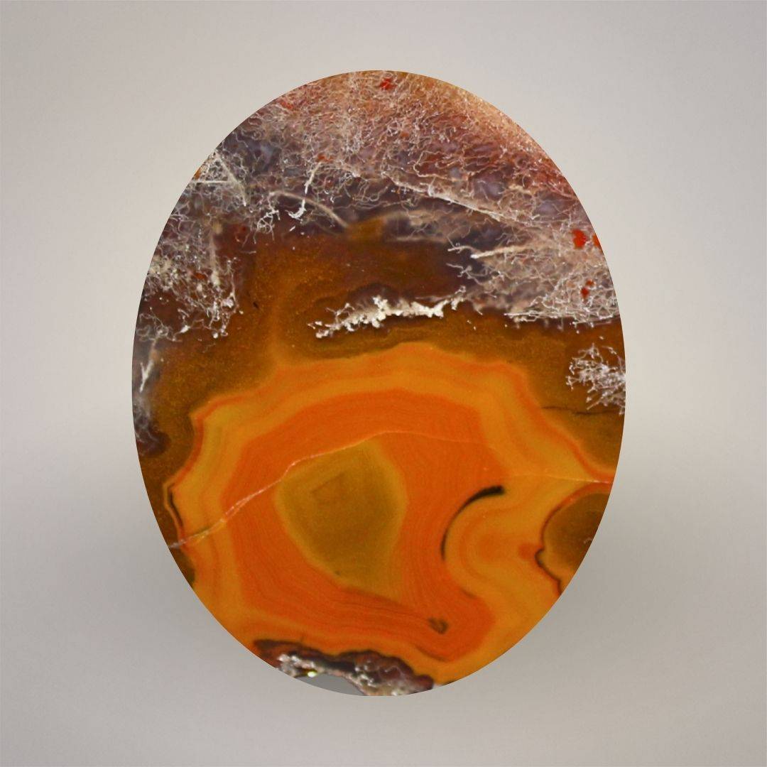 Macro view of polished Condor Agate from Argentina showing red-orange fortification banding, translucent chalcedony, and white plume-like inclusions.