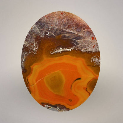 Macro view of polished Condor Agate from Argentina showing red-orange fortification banding, translucent chalcedony, and white plume-like inclusions.
