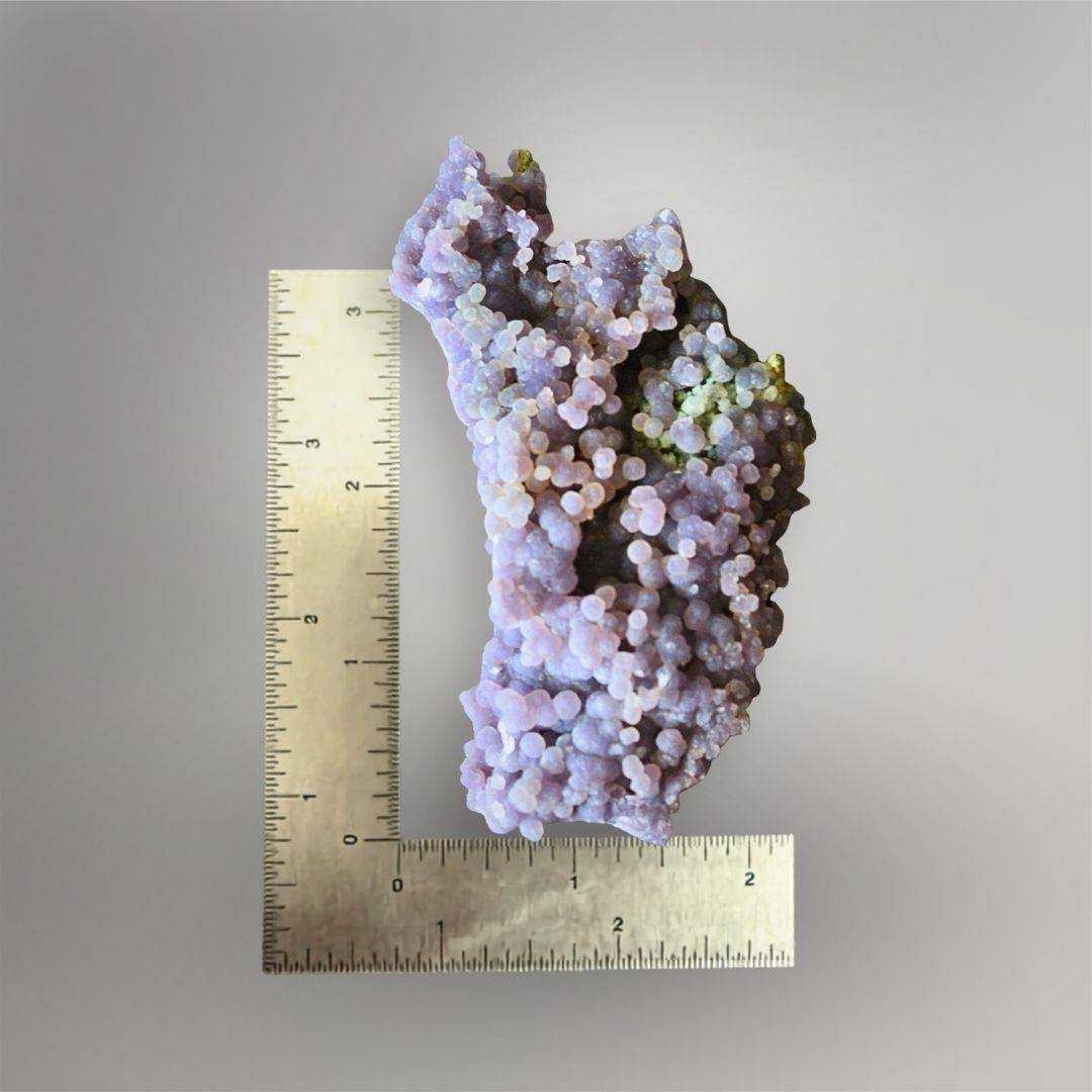 115g Grape Agate specimen beside a ruler showing its approximately 4.3-inch length and narrow plate form