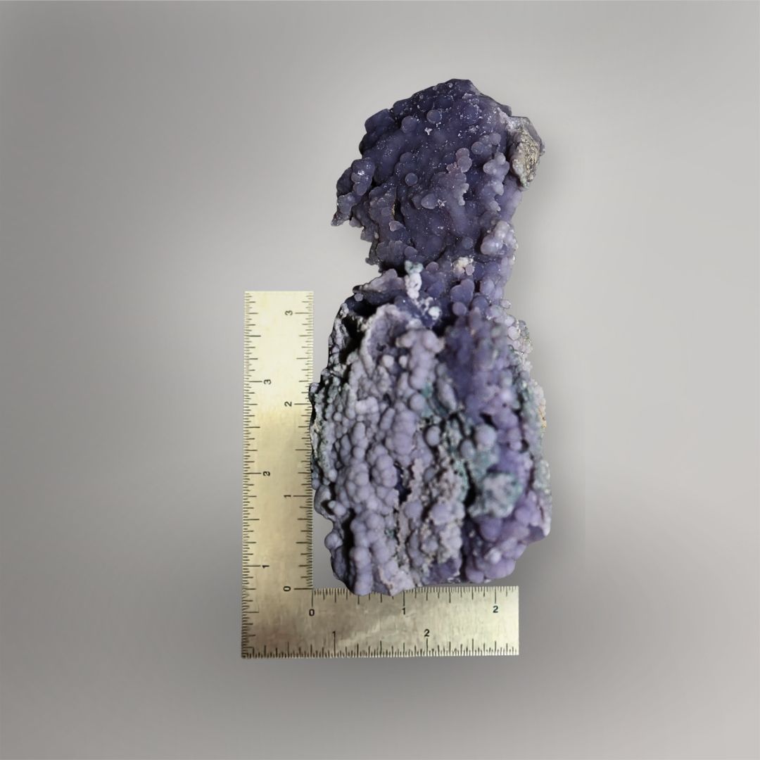 183g Indonesian Grape Agate cluster beside a ruler showing its approximately 4.8-inch vertical form