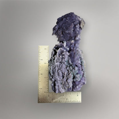 183g Indonesian Grape Agate cluster beside a ruler showing its approximately 4.8-inch vertical form