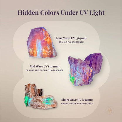 UV fluorescence examples from Hubbard Basin petrified wood showing orange fluorescence under long wave UV, mixed orange and green fluorescence under mid wave UV, and bright green fluorescence under short wave UV.