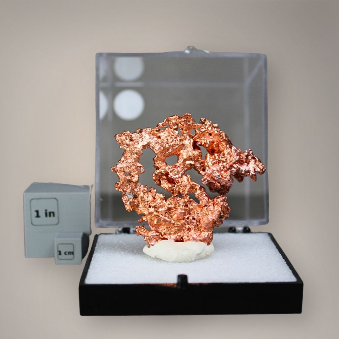 Native copper specimen from China showing interconnected openwork growth and bright copper-red metallic surfaces inside a large perky box with inch and centimeter scale cubes.