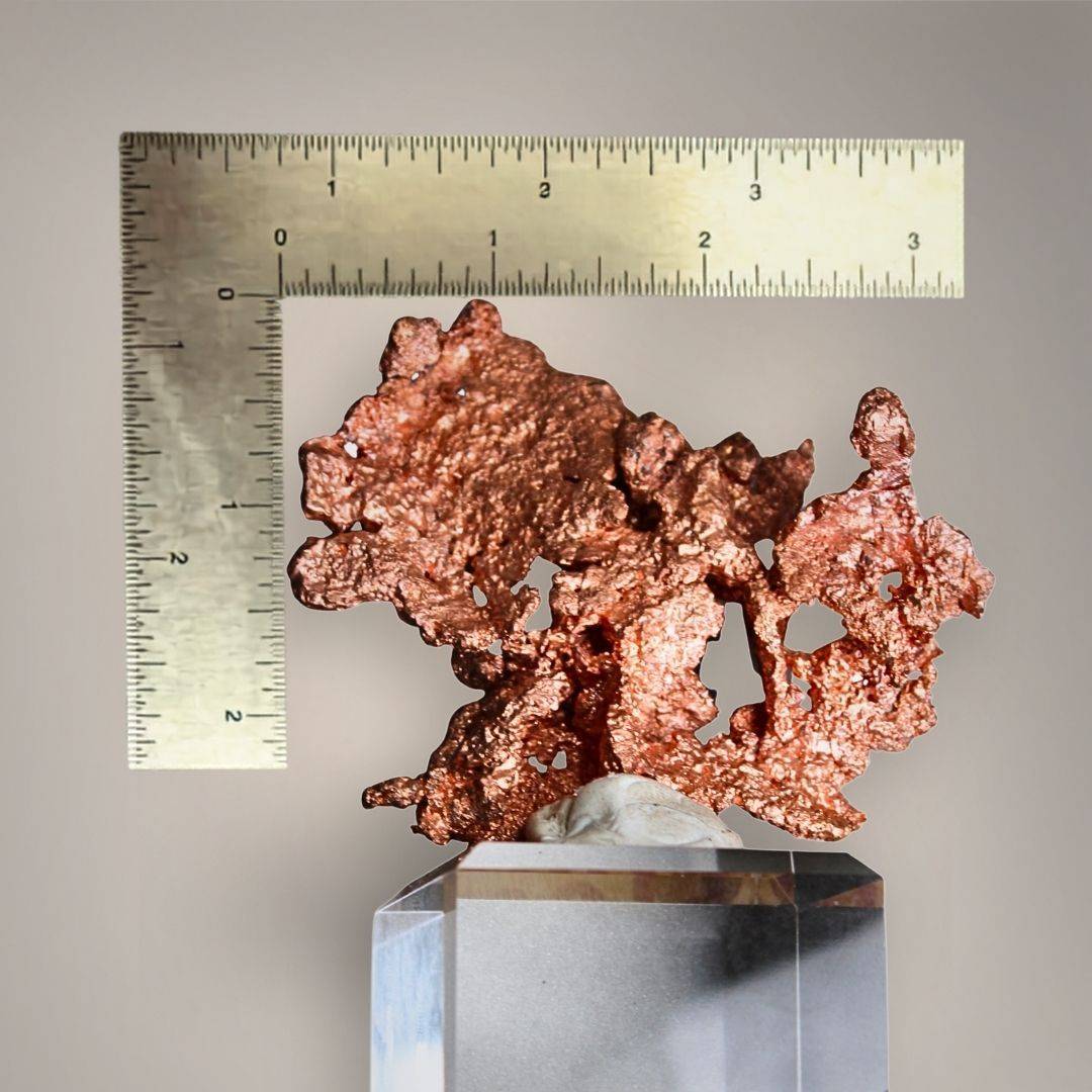 Native copper specimen from China photographed beside inch rulers showing its approximately 3.5-inch-wide openwork formation.