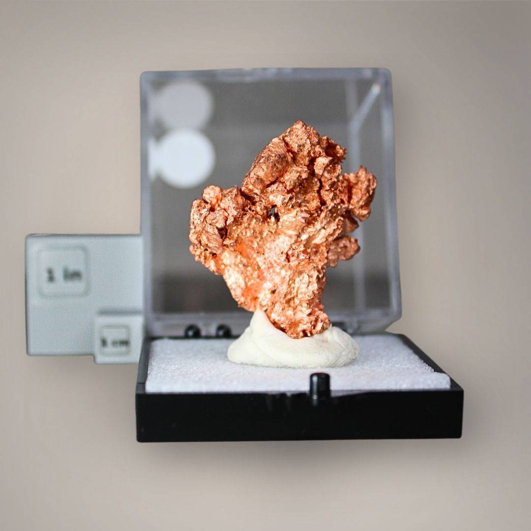 Native copper specimen from China displayed in a medium perky box beside one-inch and one-centimeter scale cubes, showing its compact upright formation.