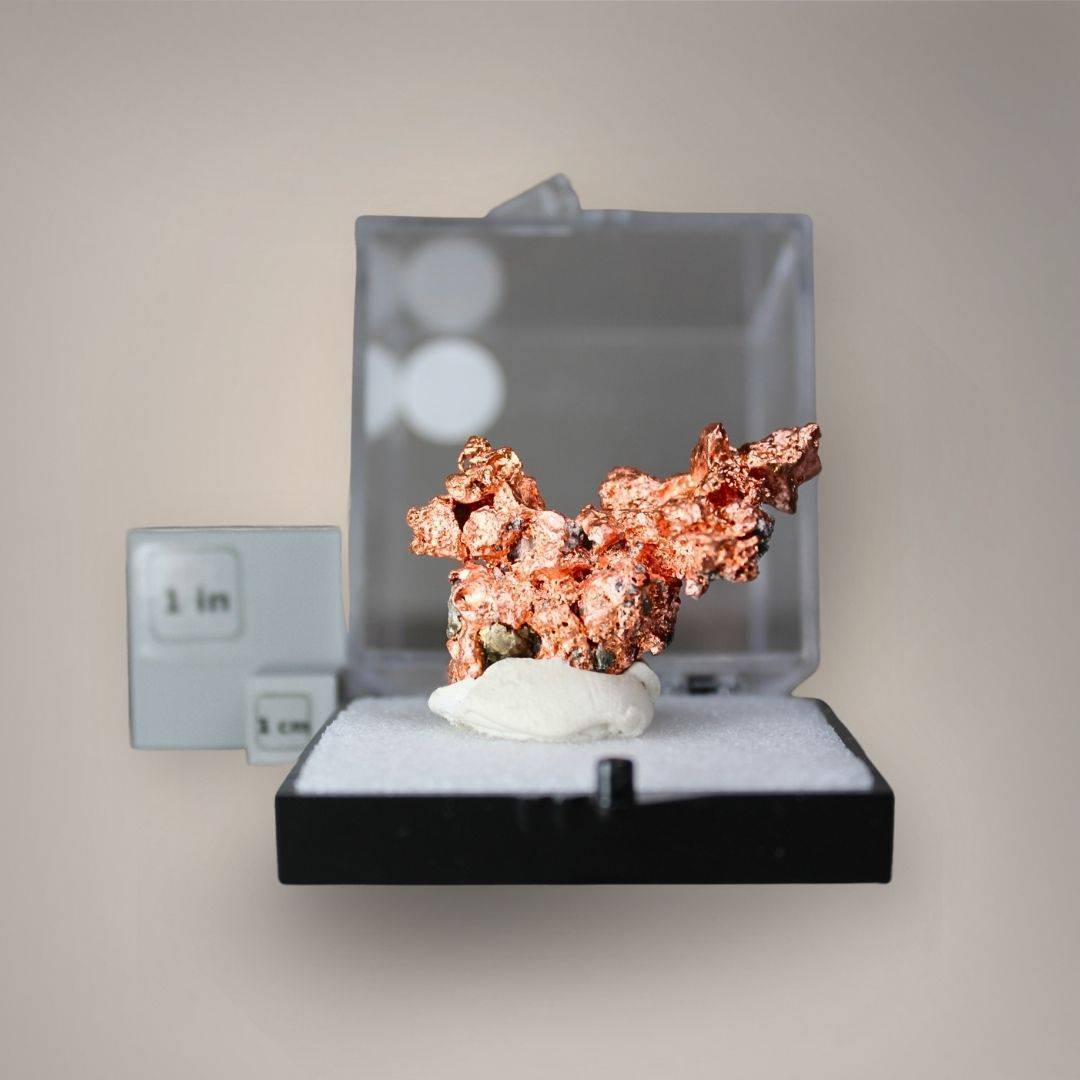 Native copper specimen from China displayed in a medium perky box beside one-inch and one-centimeter scale cubes, showing its compact sculptural structure.
