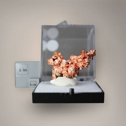 Native copper specimen from China displayed in a medium perky box beside one-inch and one-centimeter scale cubes, showing its compact sculptural structure.