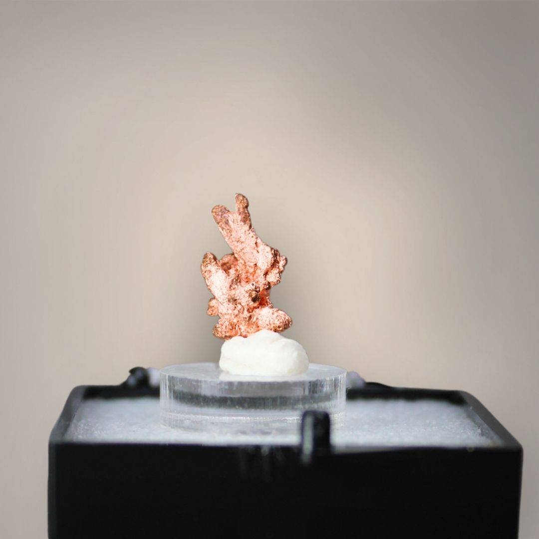 Native copper thumbnail from China featuring slender upright growth, forked crystalline projections, and bright copper-red metallic surfaces mounted on a clear acrylic riser.